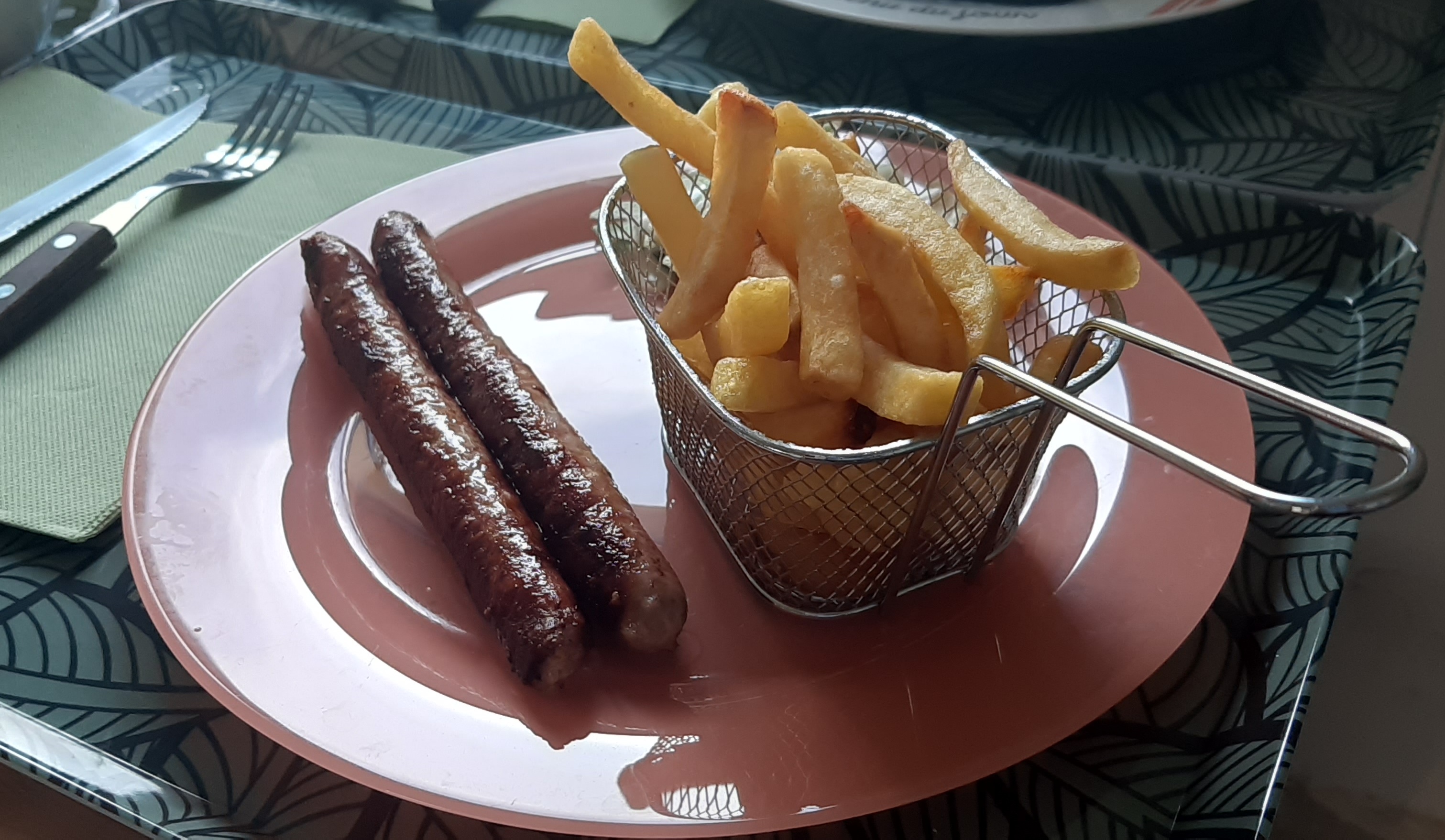 Photo de l'assiette de grillades avec Salade verte et Paniette de Frites